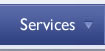Our Services Link